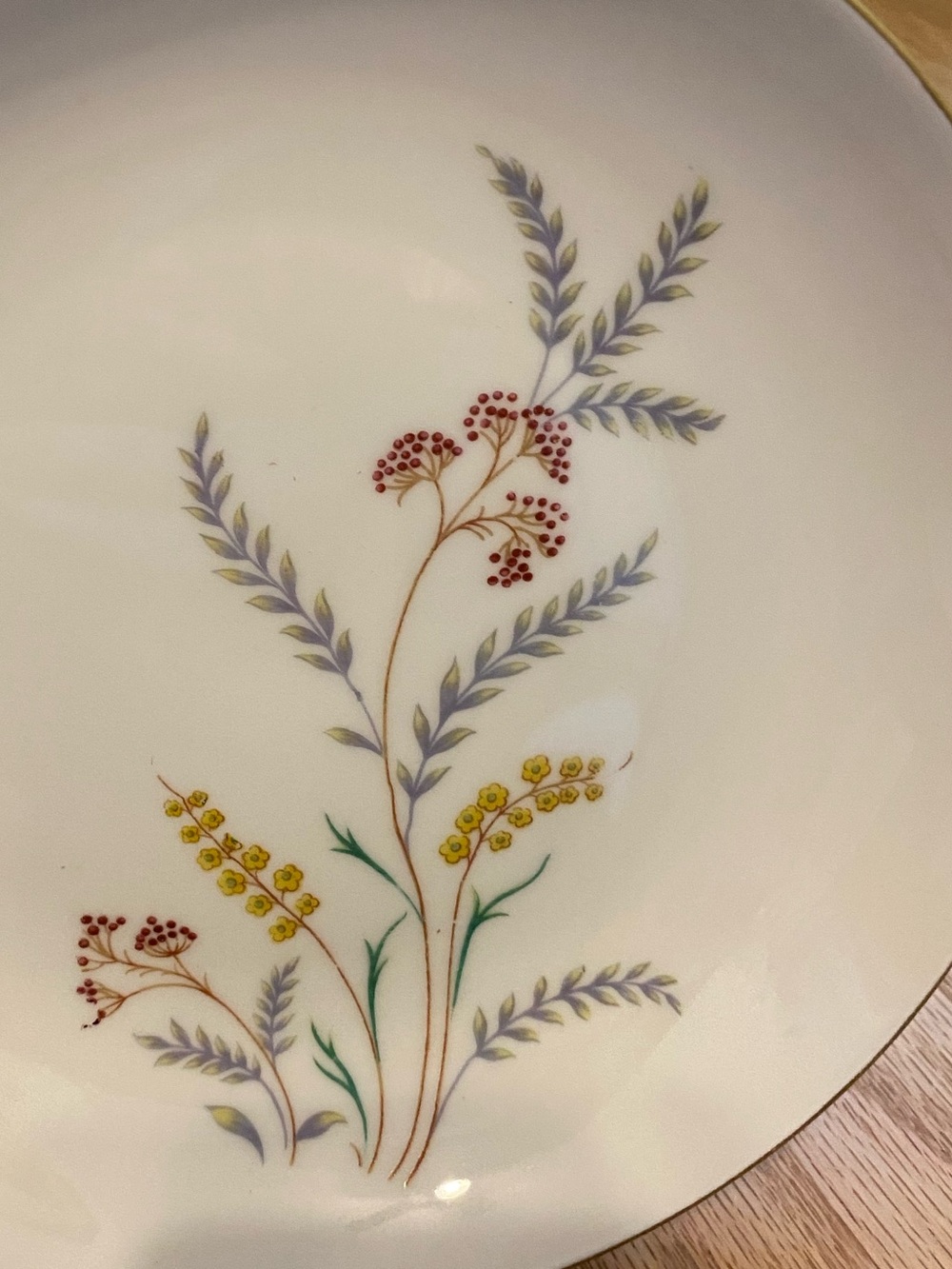 Floral Porcelain Plates (2) in White with Gold Trim